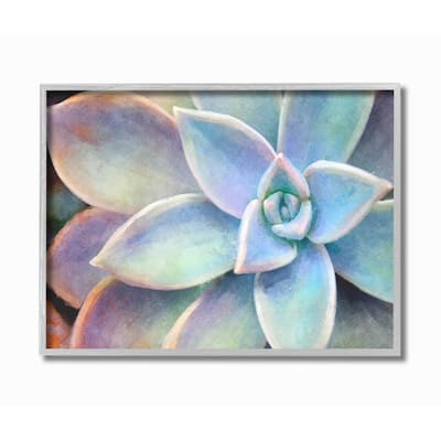 The Stupell Home Decor Succulent Plant Vibrant Bloom Painting Gray Framed Art, 11 x 14, Proudly Made in USA