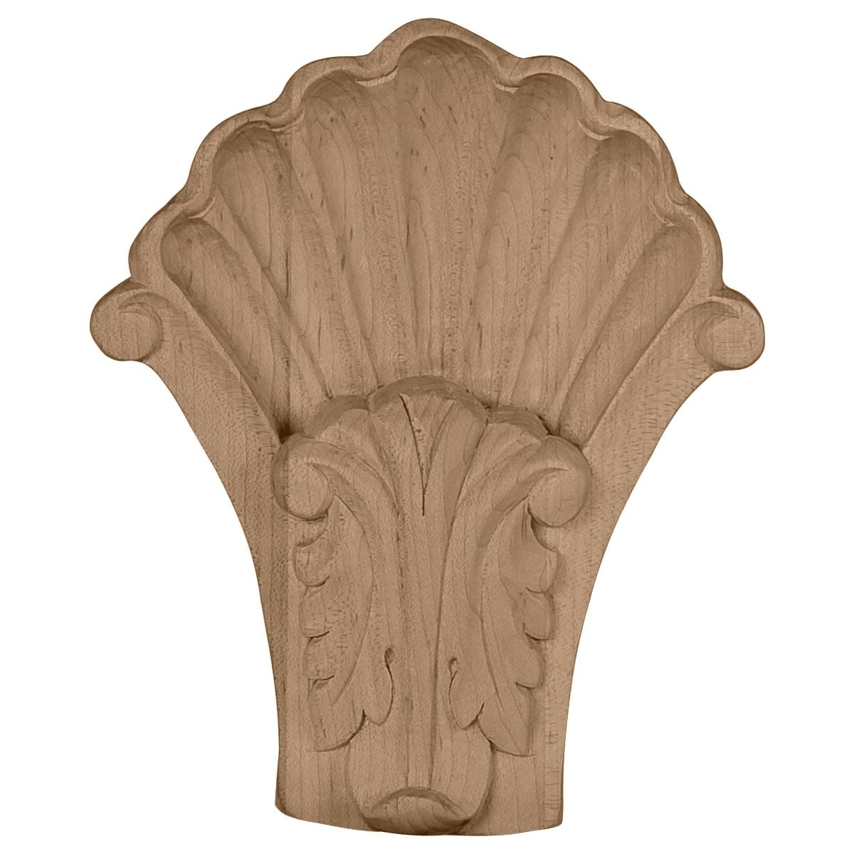 Acanthus in Shell Corbel