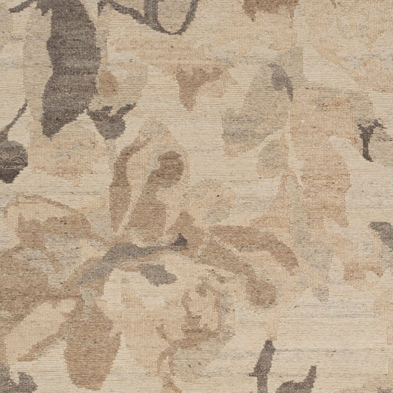 Timaios Transitional Area Rug