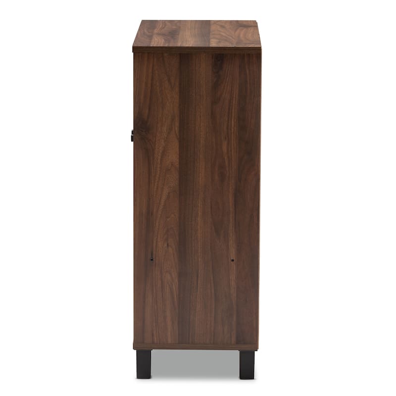 Modern and Contemporary Walnut Brown 2-Door Shoe Storage Cabinet