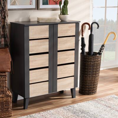 Modern and Contemporary Two-Tone 2-Door Shoe Storage Cabinet