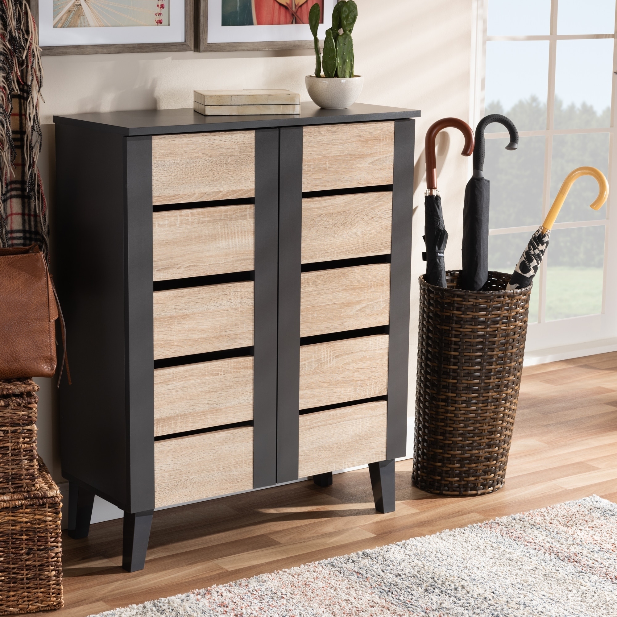 Shop Modern And Contemporary Two Tone 2 Door Shoe Storage Cabinet