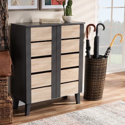 Modern and Contemporary Two-Tone 2-Door Shoe Storage Cabinet