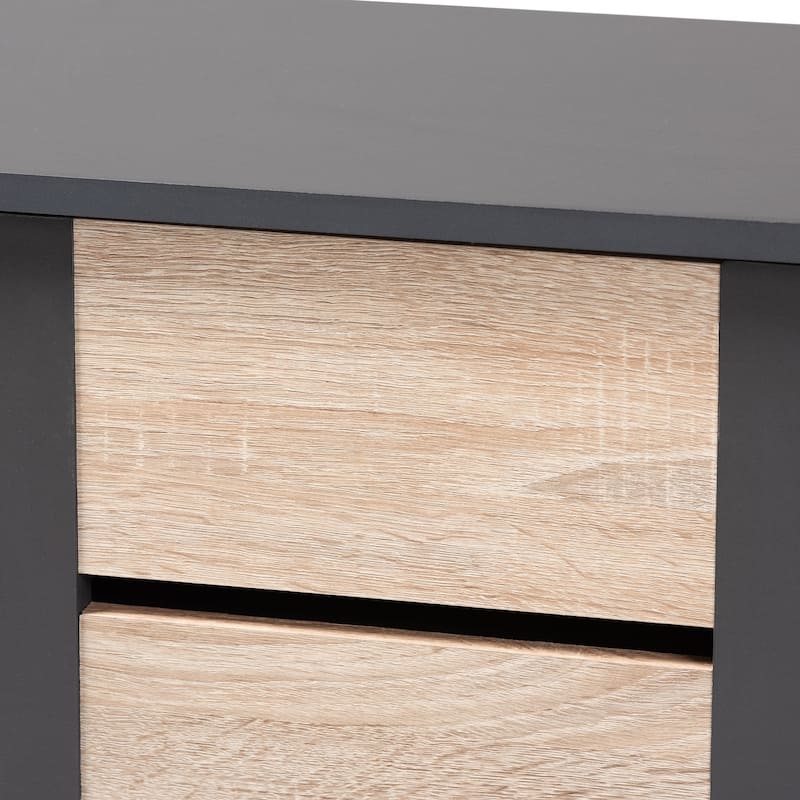 Modern and Contemporary Two-Tone 2-Door Shoe Storage Cabinet