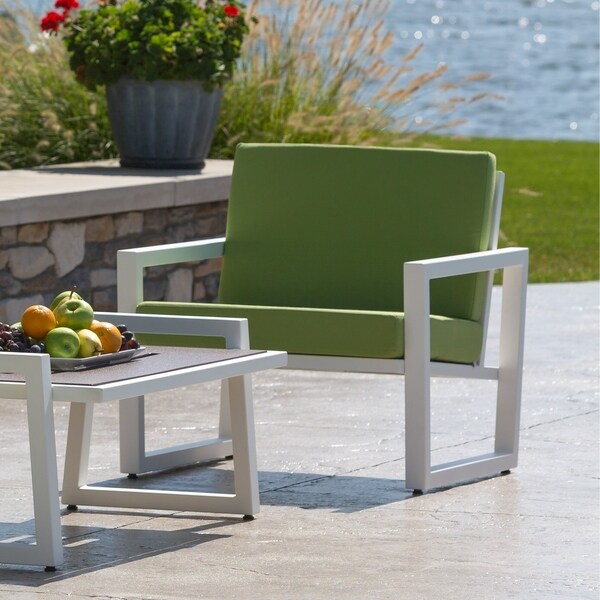 Shop Elan Furniture Vero Outdoor Lounge Chair - Ginkgo ...