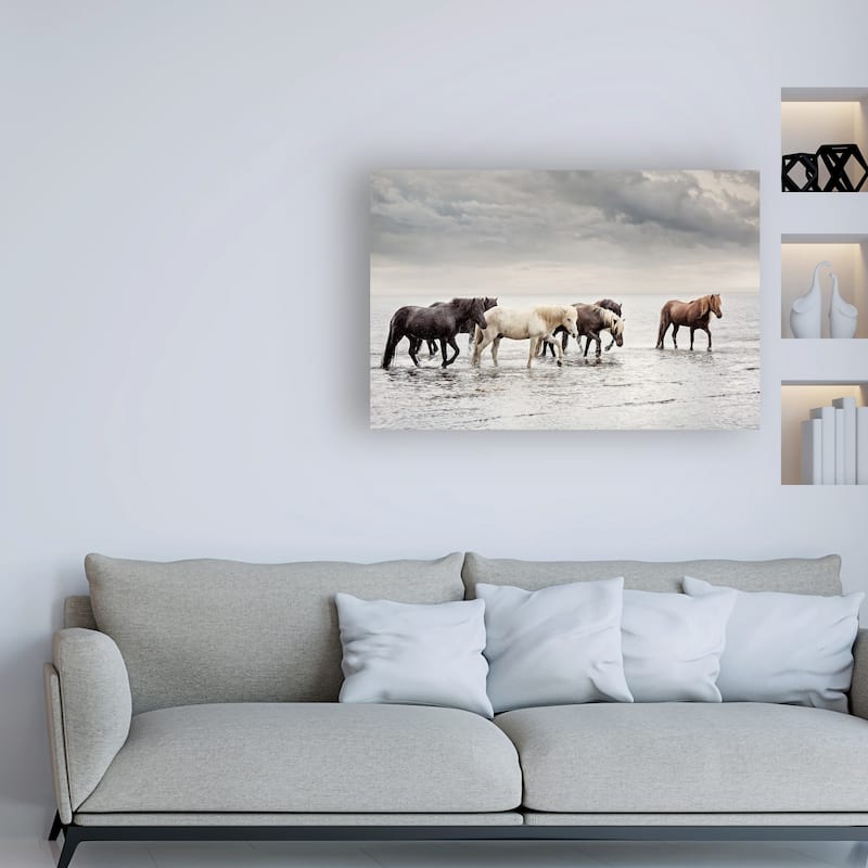 PHBurchett 'Water Horses IV' Canvas Art