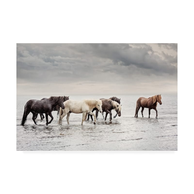 PHBurchett 'Water Horses IV' Canvas Art