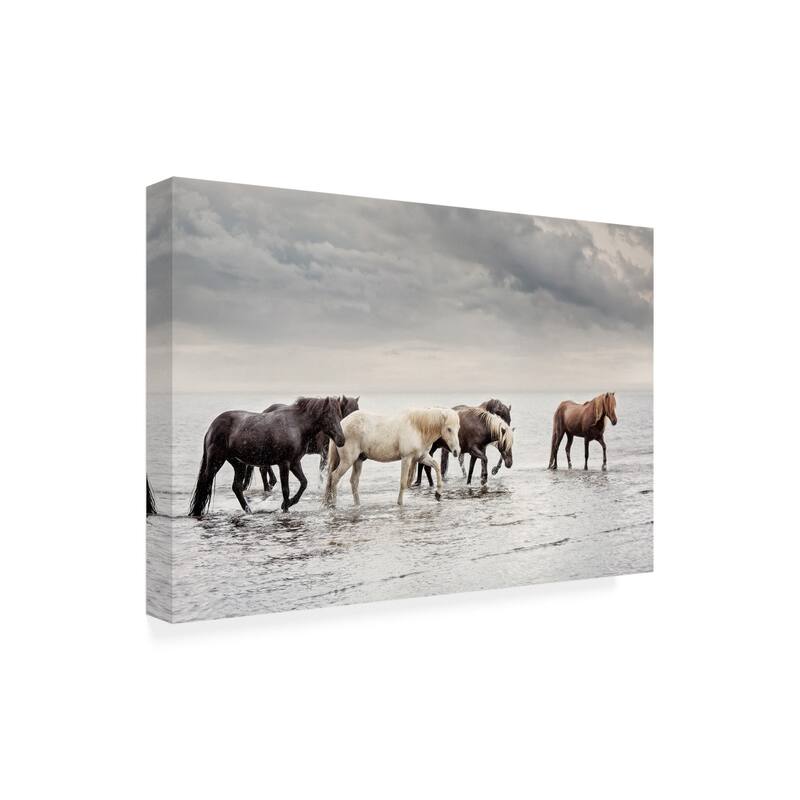 PHBurchett 'Water Horses IV' Canvas Art