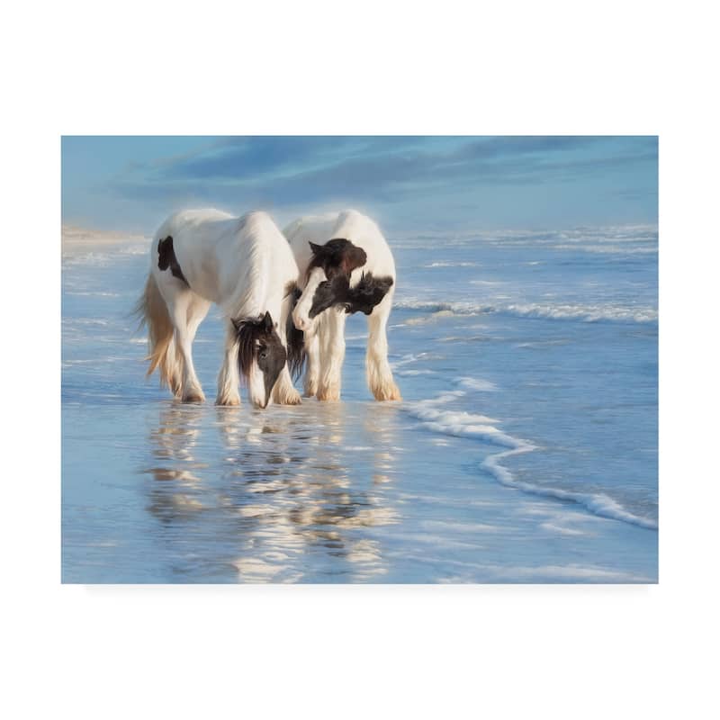 PHBurchett 'Water Horses I' Canvas Art