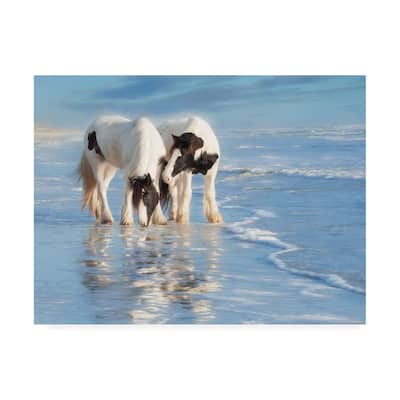 PHBurchett 'Water Horses I' Canvas Art