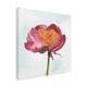 Alicia Ludwig 'Joyful Peony II' Canvas Art - Bed Bath & Beyond - 27191118