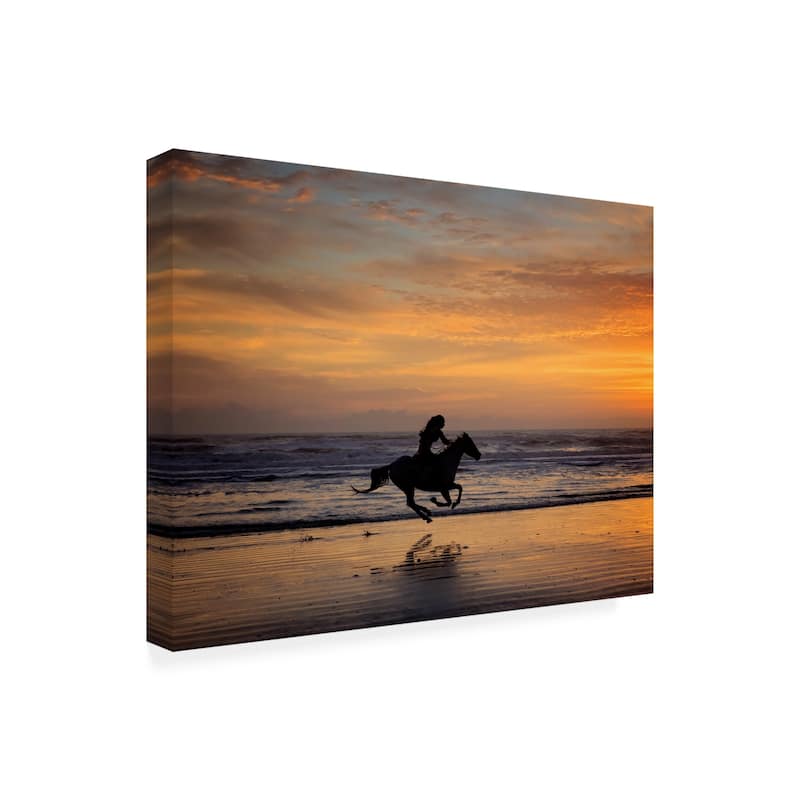 PHBurchett 'Sunkissed Horses IV' Canvas Art