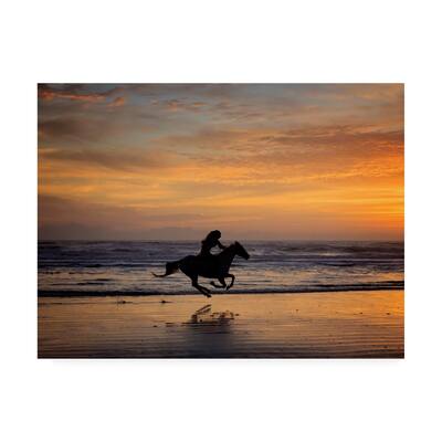 PHBurchett 'Sunkissed Horses IV' Canvas Art