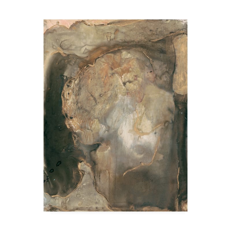 Joyce Combs 'Ancient Rock II' Canvas Art Bed Bath & Beyond 27191466