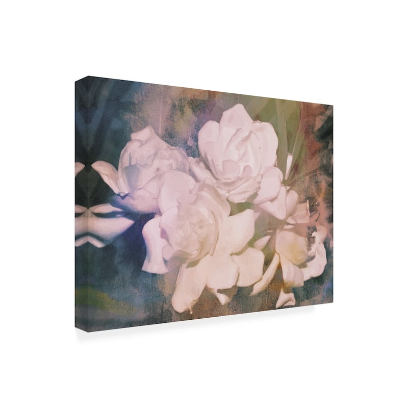 Sharon Chandler 'Blush Gardenia Beauty I' Canvas Art - Bed Bath ...