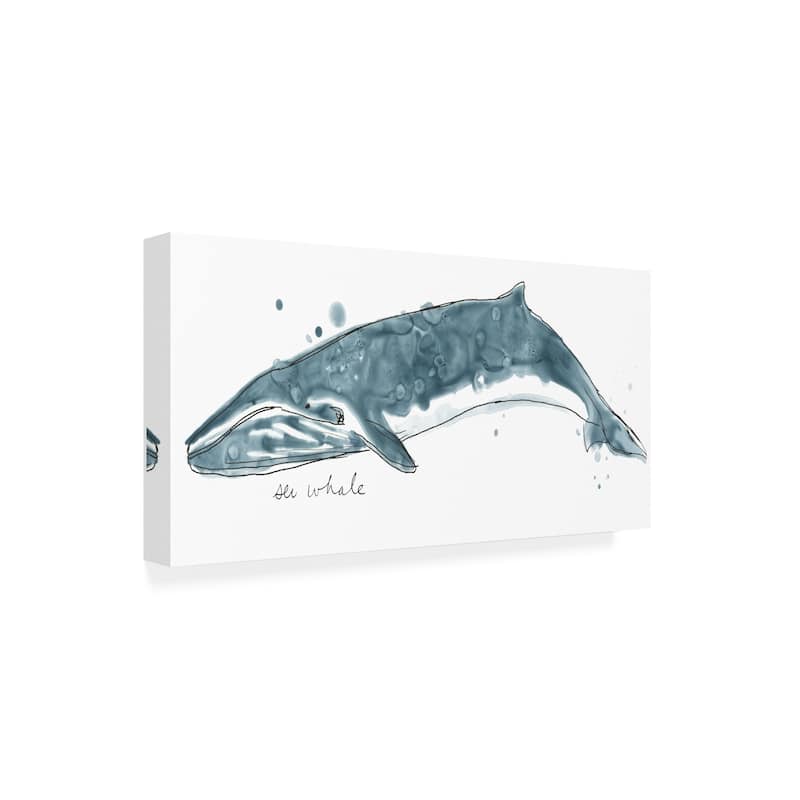 June Erica Vess 'Cetacea Sei Whale' Canvas Art - Bed Bath & Beyond ...