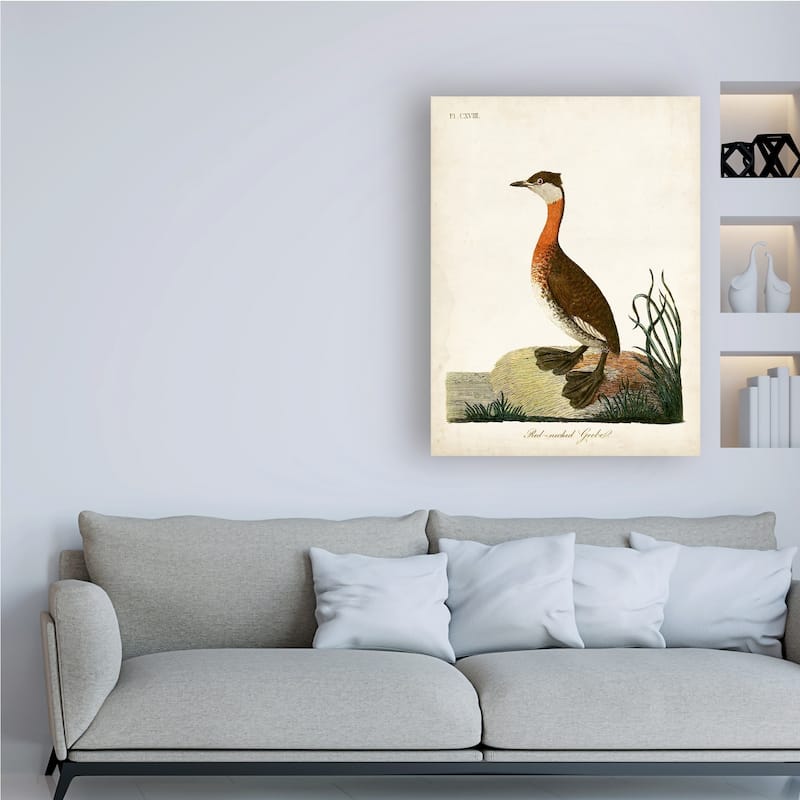 John Latham 'RedNecked Grebe' Canvas Art Bed Bath & Beyond 27191880