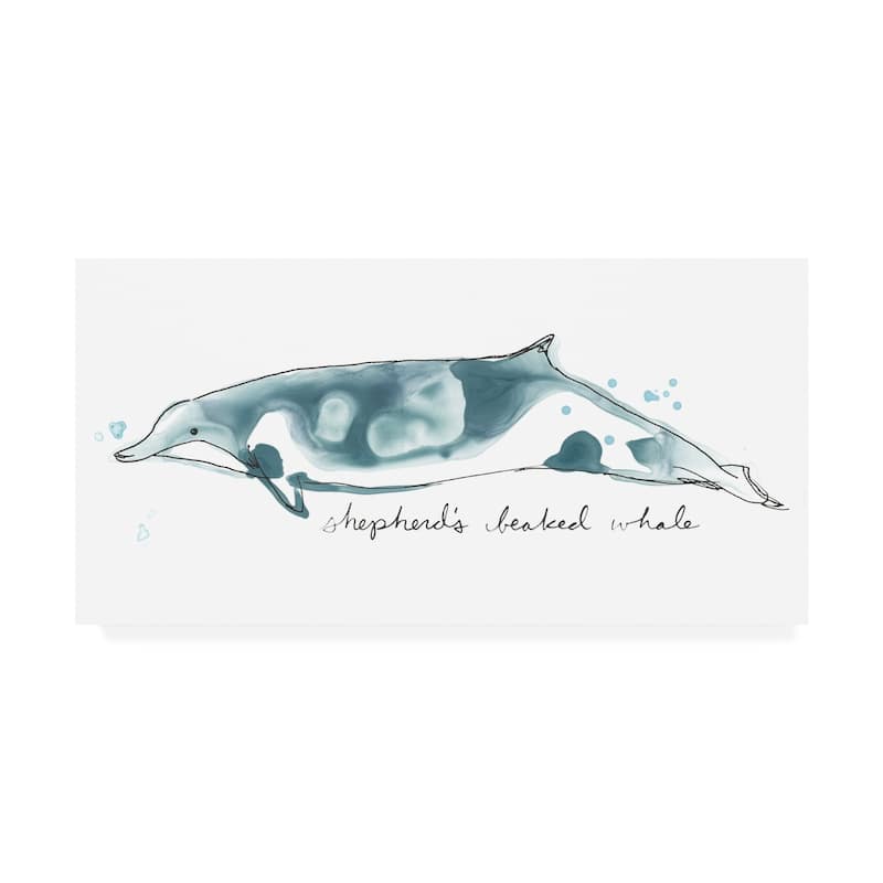 June Erica Vess 'cetacea Shepherd's Beak Whale' Canvas Art - Bed Bath 