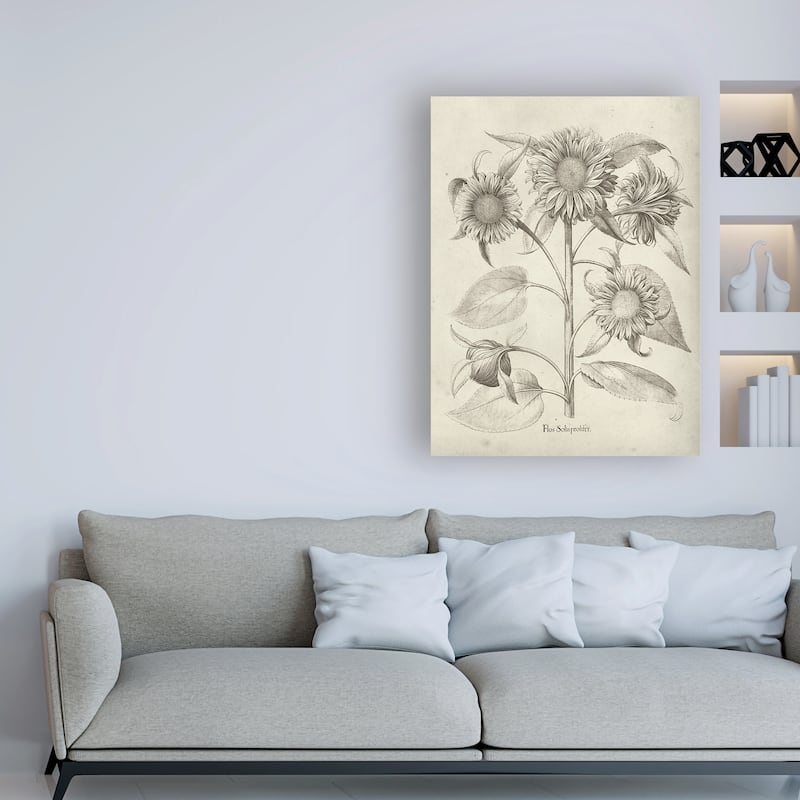 Vision Studio 'Fresco Sunflower II' Canvas Art