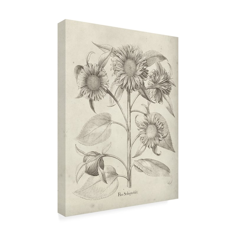 Vision Studio 'Fresco Sunflower II' Canvas Art