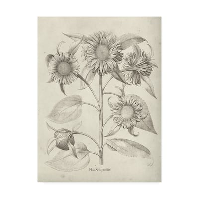 Vision Studio 'Fresco Sunflower II' Canvas Art