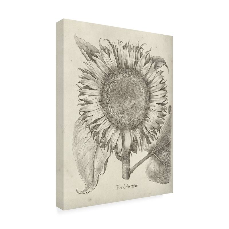 Vision Studio 'Fresco Sunflower I' Canvas Art