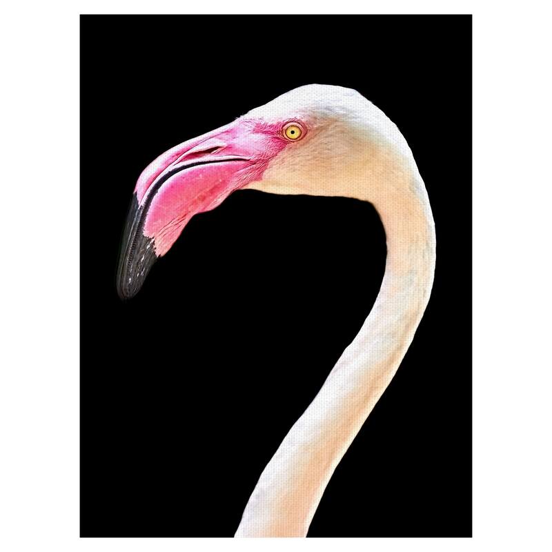 Masterpiece Art Gallery Flamingo Portrait By Mathew Schwartz Canvas Art Print