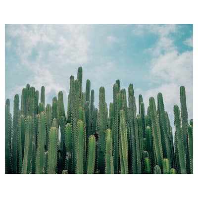 Masterpiece Art Gallery Cactus Greens Desert Sky By David Sola Canvas Art Print