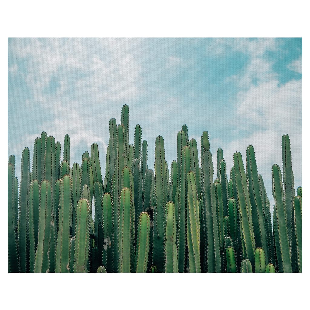 Masterpiece Art Gallery Cactus Greens Desert Sky By David Sola Canvas Art Print