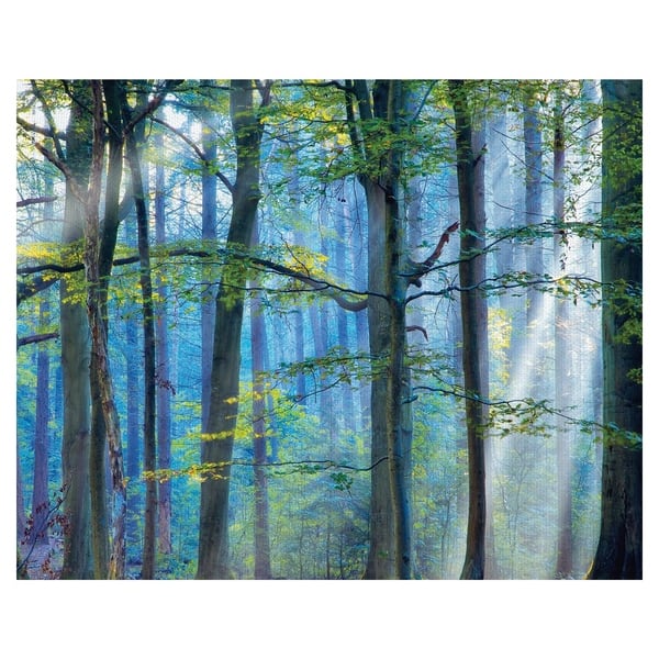 Shop Masterpiece Art Gallery Enchanted Forest Croop By Lars Van De Goor Canvas Art Print Overstock