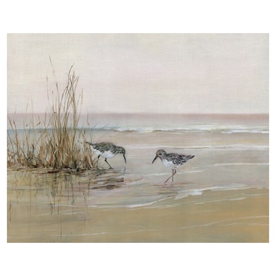 Sea Birds Early Risers I by Sally Swatland Wrapped Canvas Painting Art Print