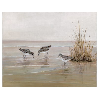 Sea Birds Early Risers II by Sally Swatland Wrapped Canvas Painting Art Print