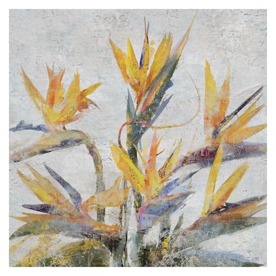 Bird of Paradise Flower by Studio Arts Wrapped Canvas Painting Art ...