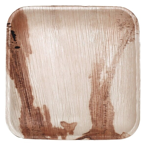 square disposable dinner plates