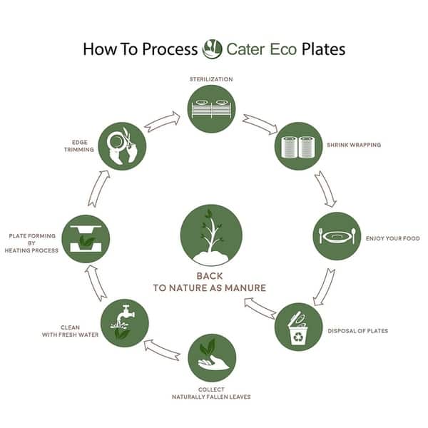 Shop Catereco Wave Palm Leaf 7 Salad Plates 144 Pack Ecofriendly Disposable Dinnerware Overstock 27257253