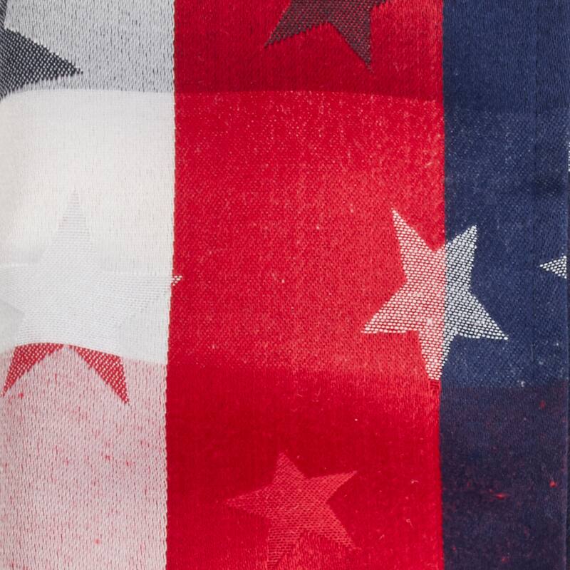Stars Design Checkered Table Napkins (Set of 4)