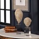 preview thumbnail 5 of 4, Uttermost Oyster Aged Ivory Shell Sculptures (Set of 2)