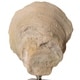 preview thumbnail 3 of 4, Uttermost Oyster Aged Ivory Shell Sculptures (Set of 2)