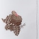 preview thumbnail 3 of 2, Cotton Table Napkins With Embroidered Turkey Design (Set of 6)