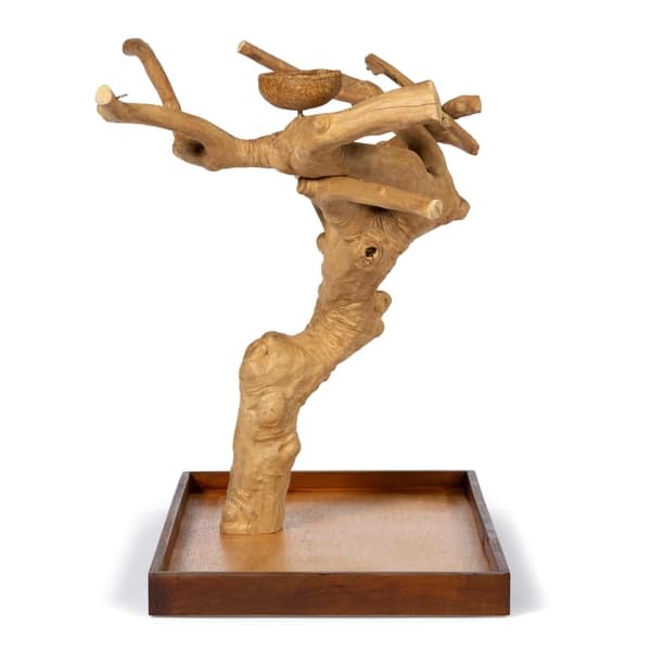 Prevue Pet Products Coffeawood Java Tree Minis Large Table Top Playstand Model Today Prevue Pet Products Coffeawood Java Tree Minis Large Table Top Playstand Model Today