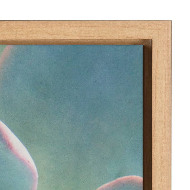 Kate and Laurel Sylvie Succulent 7 Framed Canvas by F2 Images