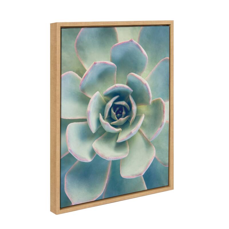 Kate and Laurel Sylvie Succulent 7 Framed Canvas by F2 Images