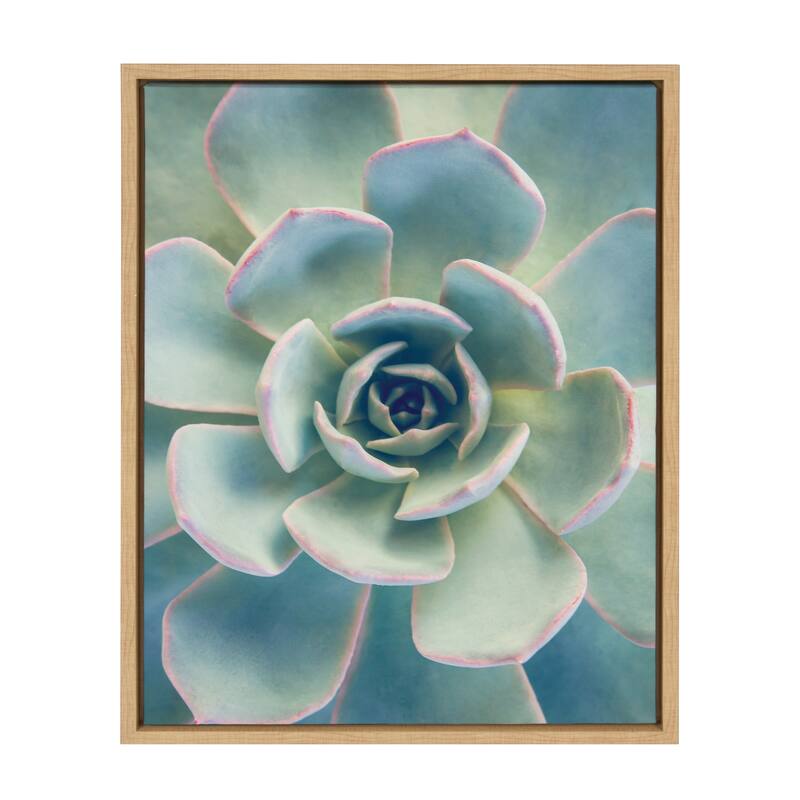 Kate and Laurel Sylvie Succulent 7 Framed Canvas by F2 Images - 18x24 - Plastic - Brown