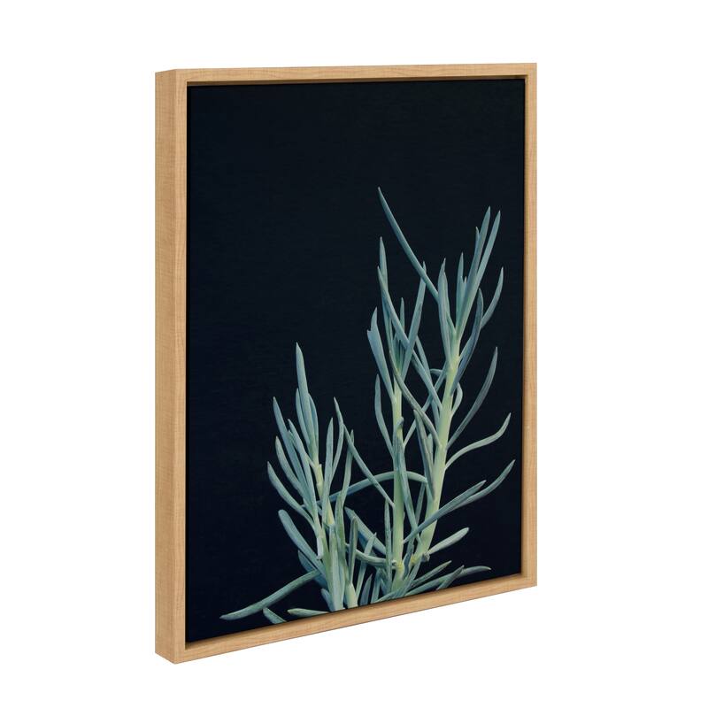 Kate and Laurel Sylvie Succulent 16 Framed Canvas by F2 Images