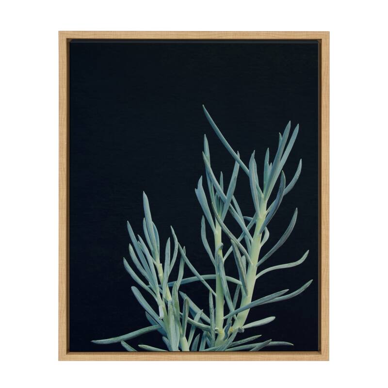 Kate and Laurel Sylvie Succulent 16 Framed Canvas by F2 Images - 18x24 - Plastic - Brown