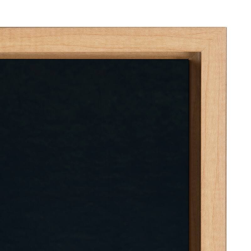 Kate and Laurel Sylvie Succulent 16 Framed Canvas by F2 Images