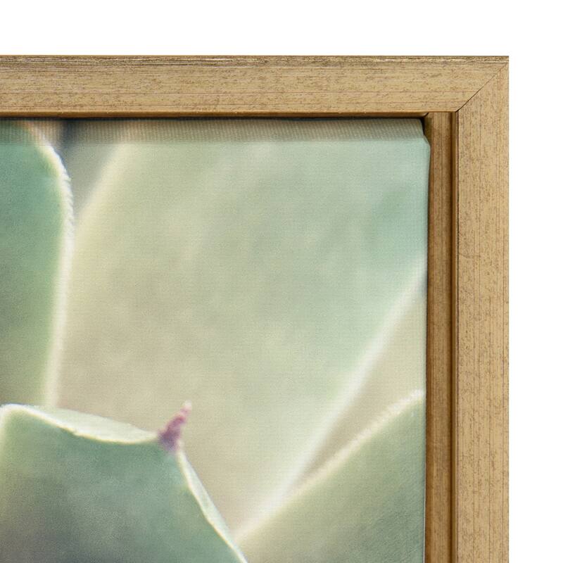 Kate and Laurel Sylvie Succulent 1 Framed Canvas by F2 Images