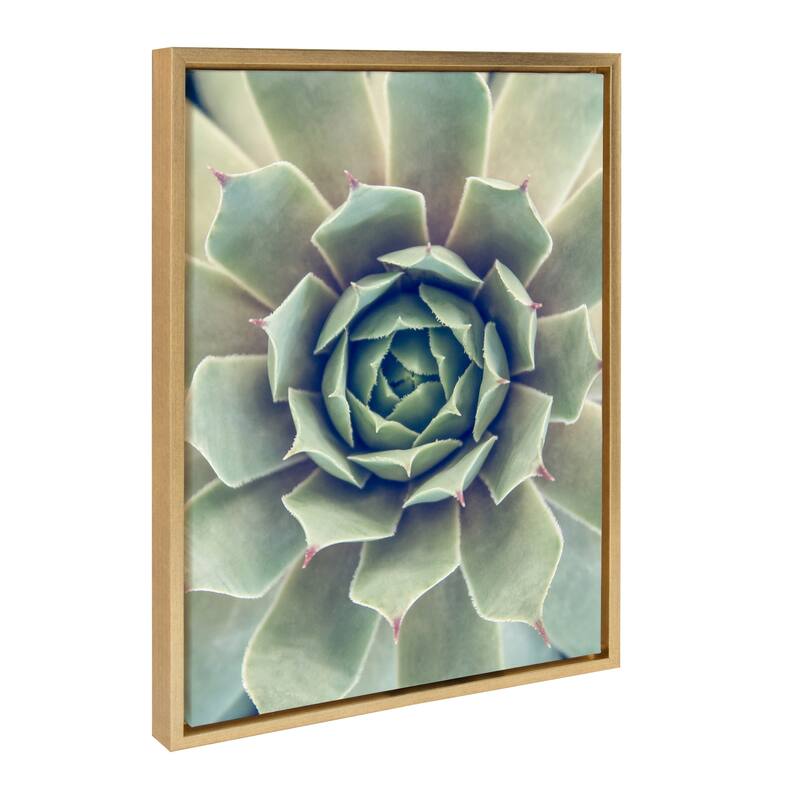 Kate and Laurel Sylvie Succulent 1 Framed Canvas by F2 Images