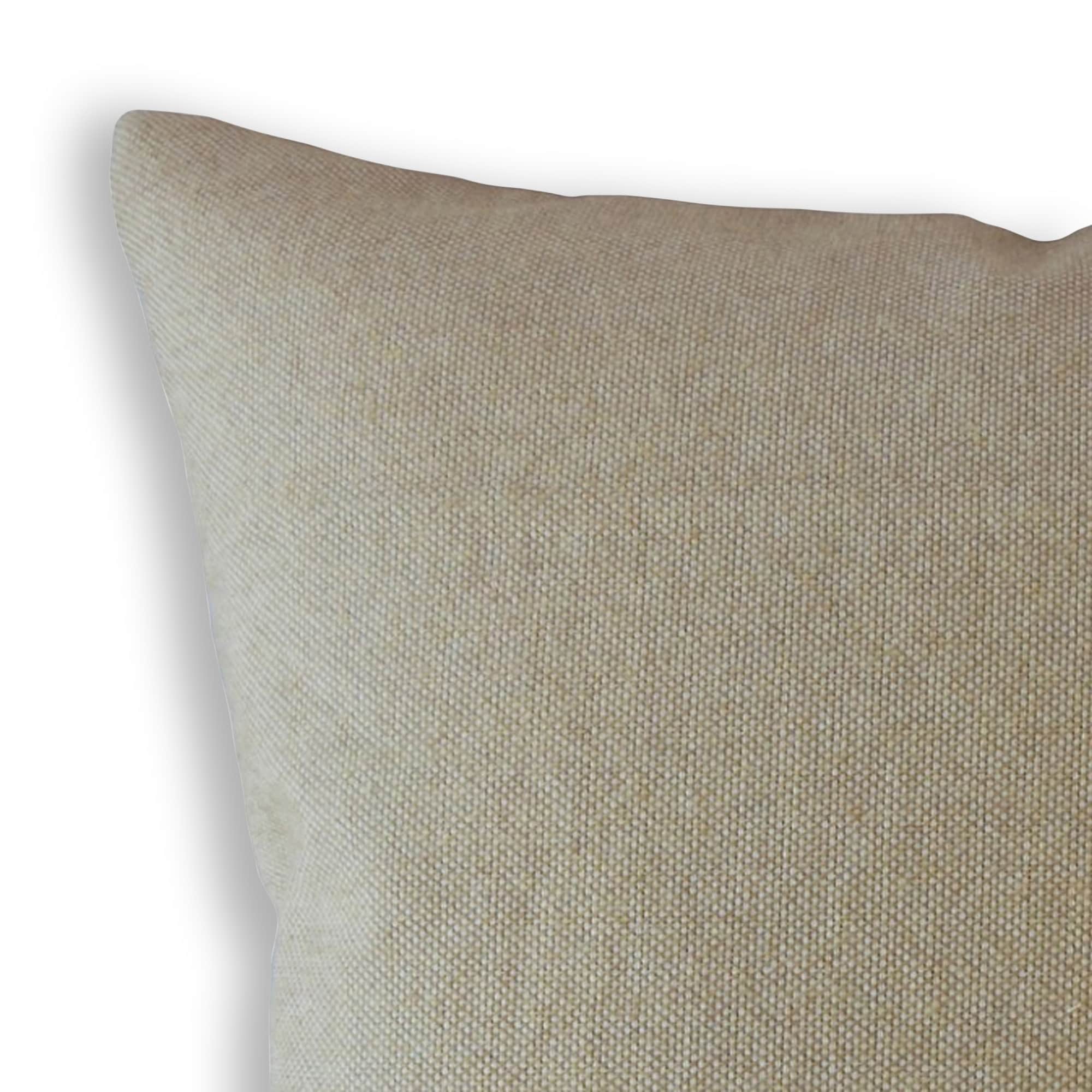The Pillow Collection Nizar Solid Latte Down Filled Throw Pillow