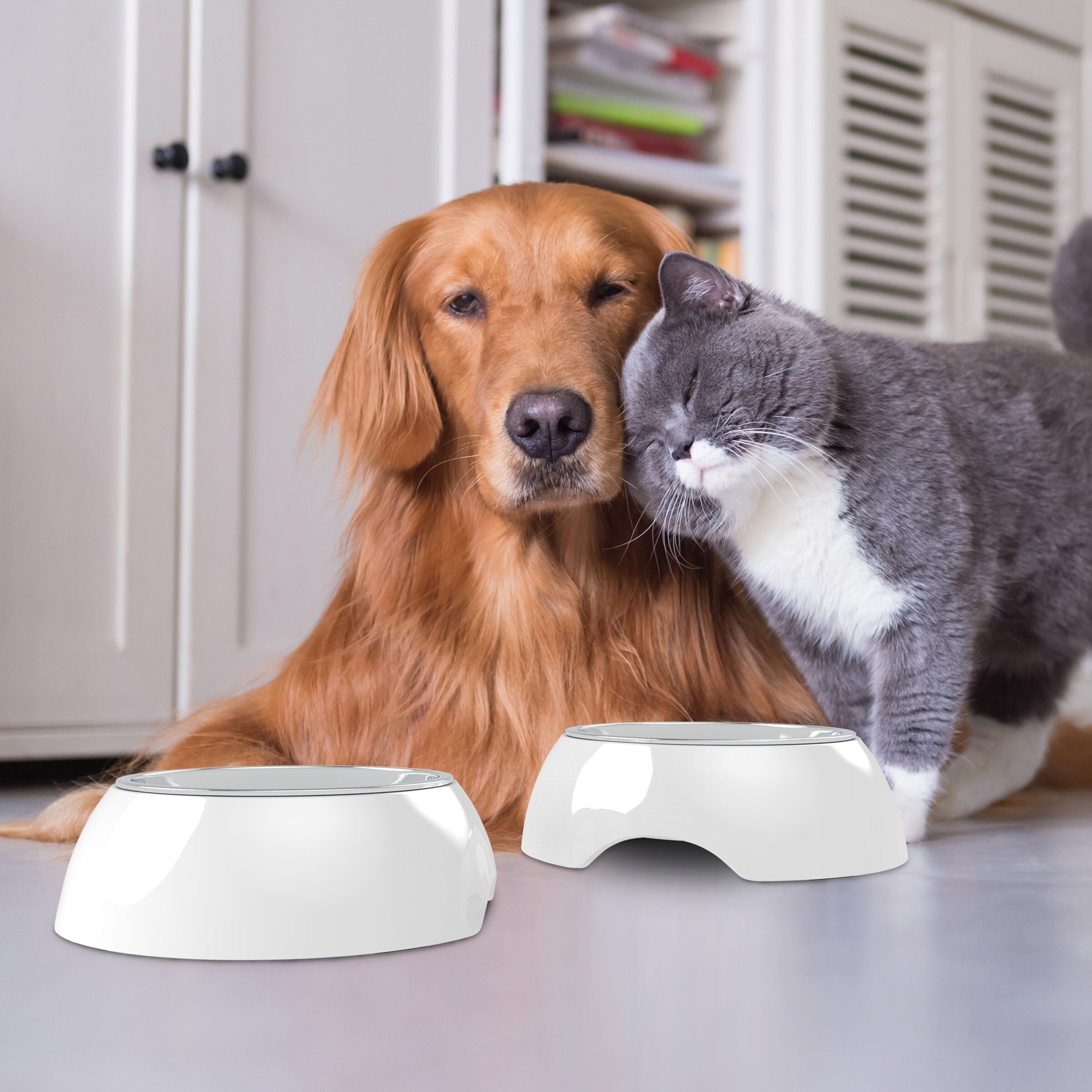 dog food and water station